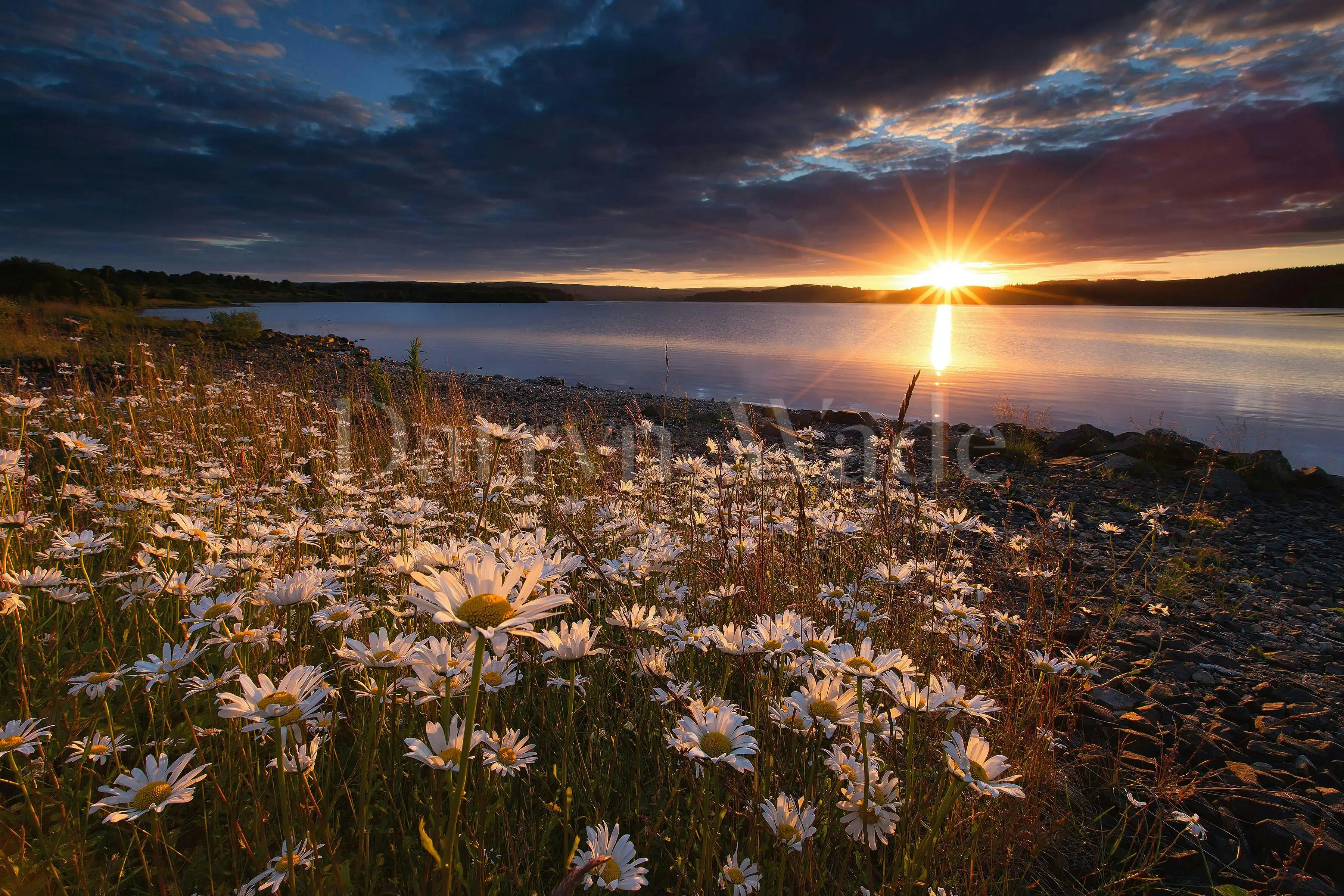 Summer Sunset, Kielder Water