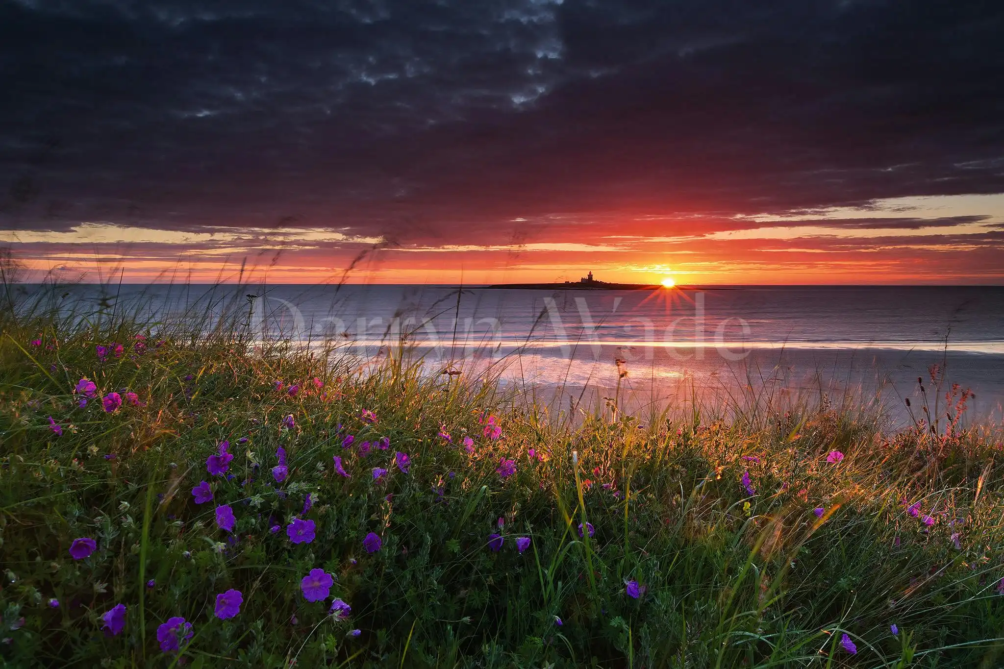 Sunrise, Coquet Island