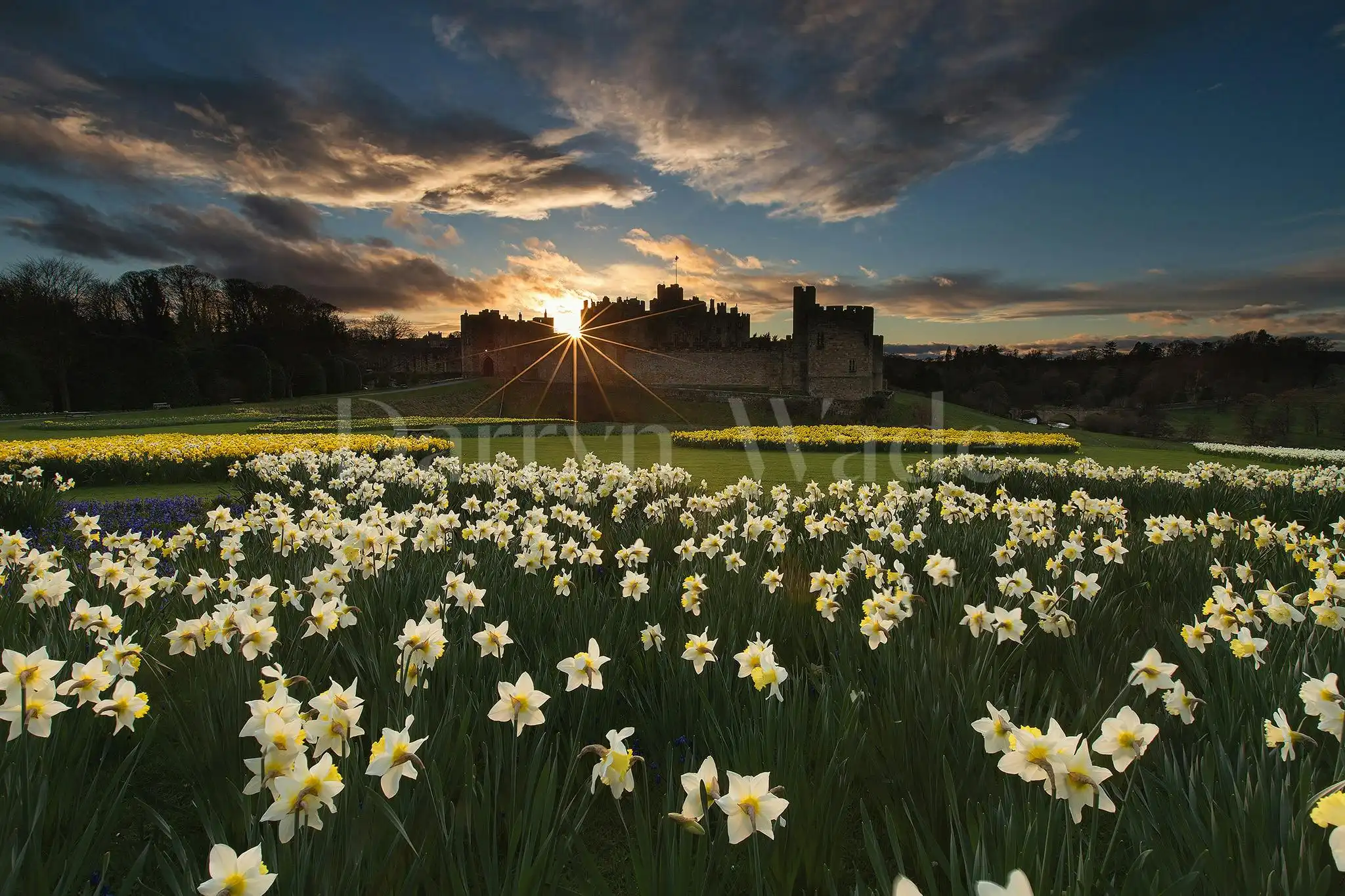 Sunset at Alnwick Castle