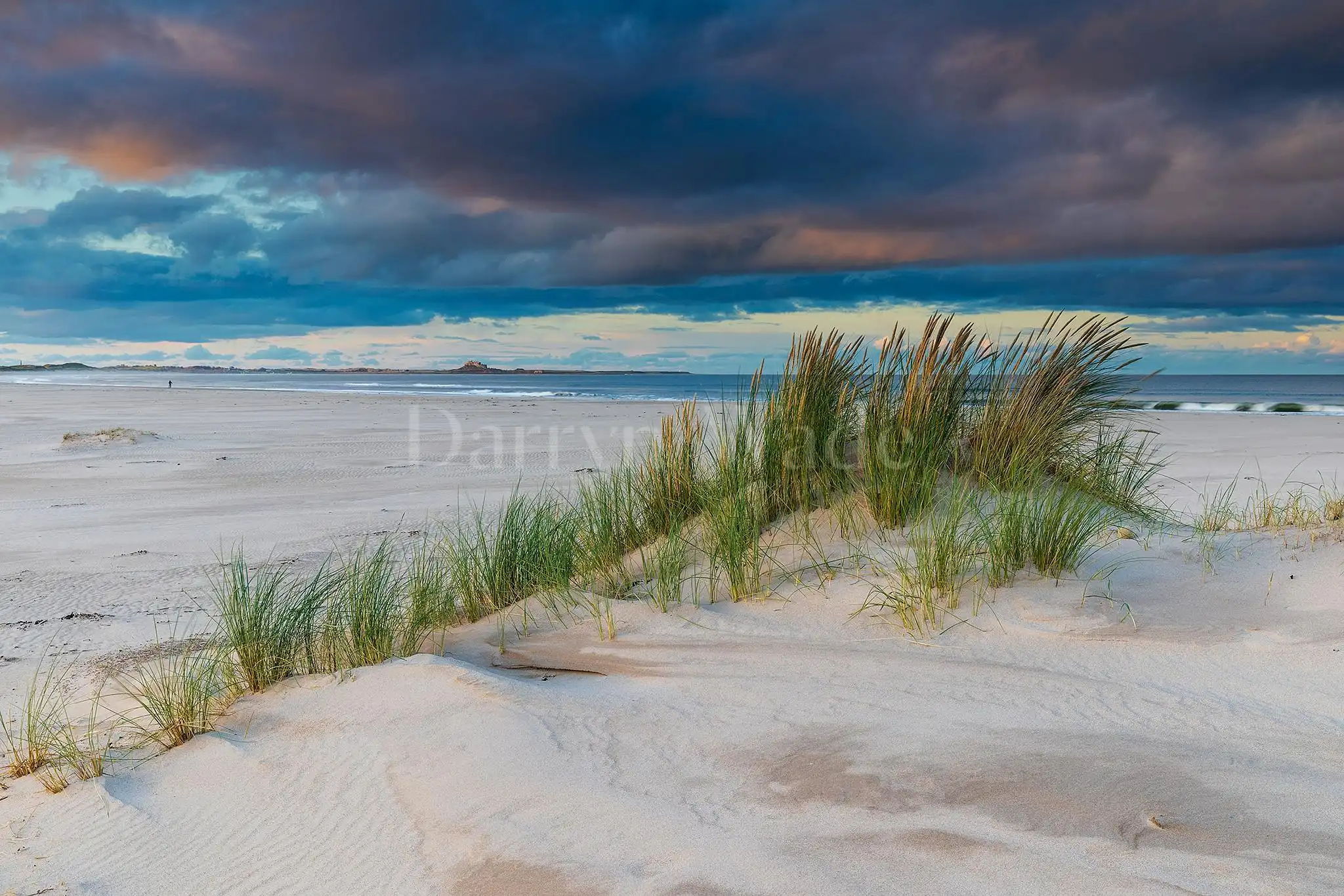 Ross Back Sands to Holy Island